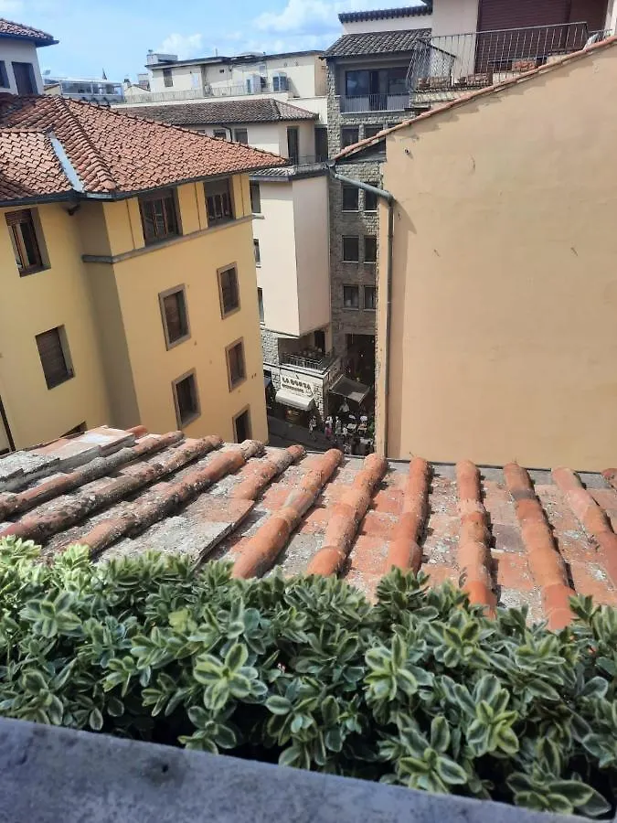 Appartement Domus Palanti à Florence 0*,